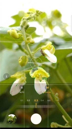 Mobile Photography Tricks🔥 | #mobilephotography #capcutedit