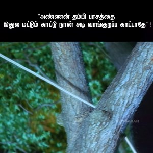 82K views · 2.8K reactions | Winner Comedy Scenes | Prashanth | Vadivelu | Riyaz Khan | Ayngaran Comedy | Facebook