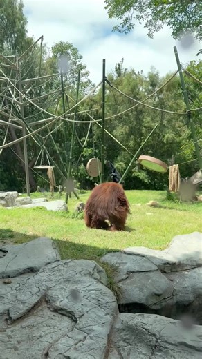 When the little guy can mess w the big guy bc he's simply faster 💀 (ig: crzydiamondluvr)