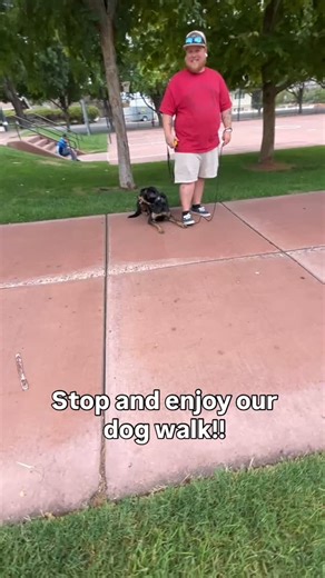 2.3K views · 11 reactions | Thanks to everyone that made it out! Our southern Utah walks are growing! I can’t thank everyone enough for coming out to these. You helping your dogs helps others help their dogs! See you all at the next one!! #dog #dogtraining #dogtrainer #utahdogtrainer #utah #southernutah #utahdogtraining | Lobato Dog Training | Facebook