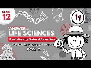 GR 12 EVOLUTION BY NATURAL SELECTION – Evolution in Present Times (PART 2) #14