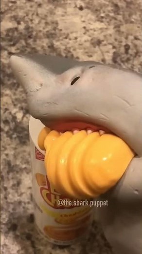 shark puppet eat cheese