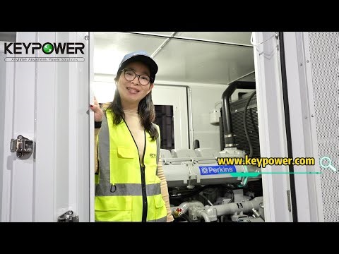 1MW Twin-Door Containerized Diesel Generator Set
