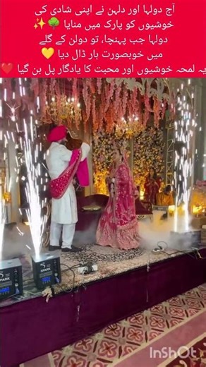 Bride and Groom Celebrating Their Wedding in a Park