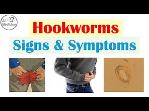 The Parasite Almost No One Talks About: Signs & Symptoms of Hookworms