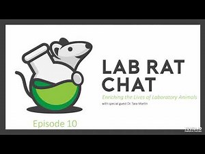 Lab Rat Chat: Ep. 10 - Enriching the Lives of Laboratory Animals