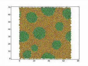 phase separation simulation