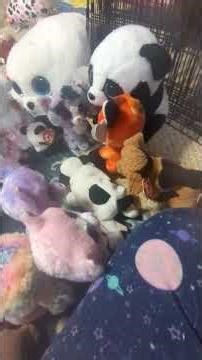 beanie boo wedding 💍💒