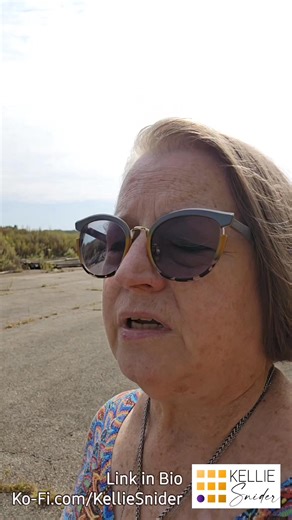 168K views · 6.5K reactions | Quick Take Mary Boykin Chesnut, a...