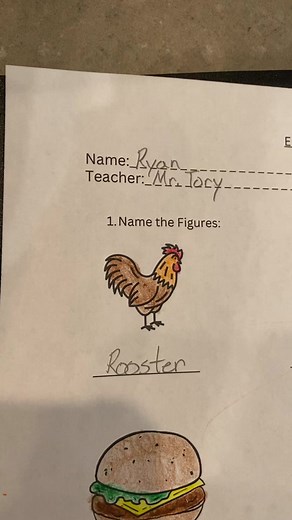 All the “teachers” in my fyp 24/7 #troll #test #professor #correction #school #teacher #englishteacher #fyp