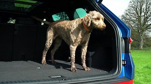 2.4K views · 20 reactions | ►WATCH: It's here. The 240hp Skoda Kodiaq RS. See what we thought of it in our latest video review. Watch the full review here - https://buff.ly/2U4Q7kB | CarsIreland.ie | Facebook