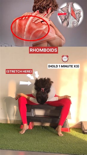 Here are some exercises to improve your gluteal muscles. #scapula #stretching #yoga #shorts