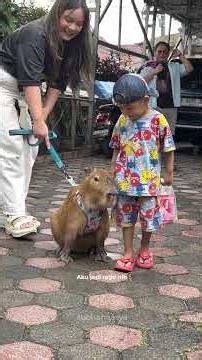 AKU SAMA PAKSU NGERJAIN KAK ANWAR DAN BILLY PAS LAGI SHOOTING TV