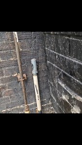 5.5K views · 1.3K reactions | Bin bashing for rats east london #rollothepatterdale ##patterdaleterrier #rattingdog #ratting #rattingwithterriers #pestcontrol #Essex #kent #london #workingdog #dogsofinstagram #ratsofinstagram #terrier #rathunter #vermin #bin #rat #canningtown | Billy Burroughs | Facebook