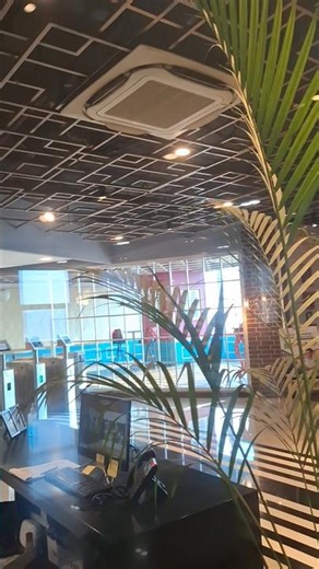 A Slow Morning: From Sunrise to Office Desk