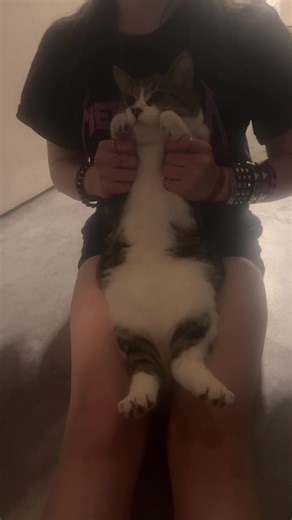 @꧁☠︎ꌗ☠︎꧂ Ft Alien #fyppppppppppppppppppppppp #tiktok #blowthisup #cat #trend