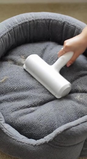 If You Have Pets, You Need This Tool #Delomo #pethairremoval #tiktokshopholidayhaul #petparentmusthave #cleantok