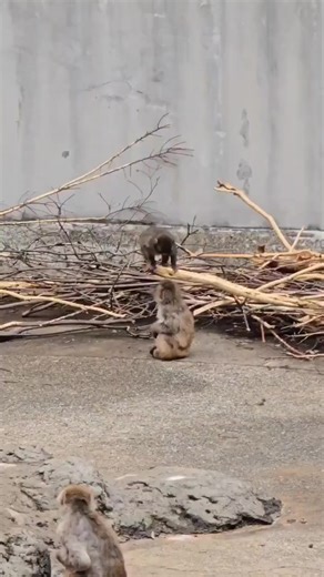 #punchkun #punchi #punch #babypunch | baby boy punch scene