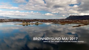 36K views · 529 reactions | While working hard on the case, we assembeled this video to give a better picture of the surroundings of the orcas being presumably trapped in a bay off Brønnøysund! We are amazed over the incredible support that local people show to these animals! | Norwegian Orca Survey | Facebook