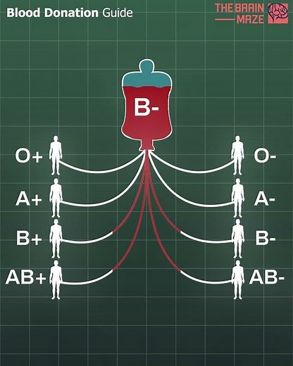 Blood Donation Guide