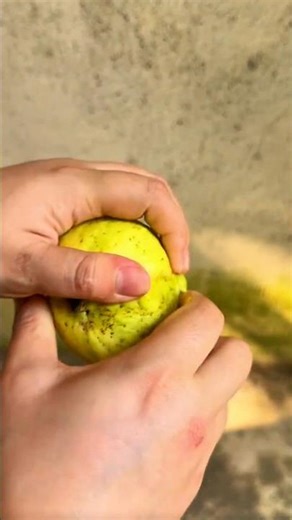 Fruit opening process shows precise tropical preparation method