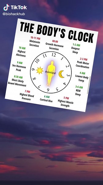 Reset Your Body Clock: Tips to Improve Your Sleep Schedule