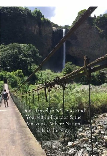 THIS IS YOUR SIGN to TRAVEL to Ecuador and the Amazons. Stay Safe! @JustinAlvo #viral #ecuador #amazon