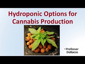 Hydroponic Options for Cannabis Production