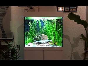 My Juwel Lido 120 LED