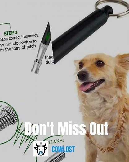 Ultrasonic Dog Whistle Training to Stop Barking for Dogs