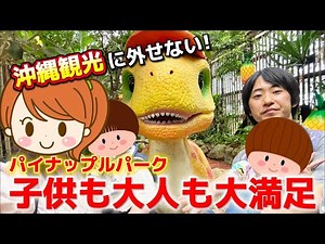 [A Must-Visit] Pineapple Park, the ultimate Okinawa spot that both adults and children can enjoy