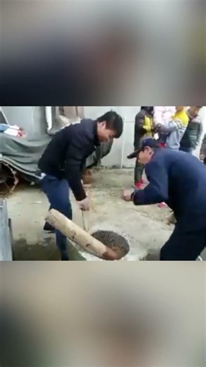TRY NOT TO LAUGH! 😱 (99% Impossible) #shorts #funny #fails2022