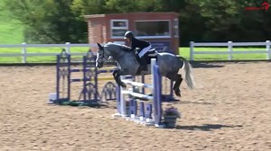 4.7K views · 507 reactions | The first place ribbon in the Blue Chip Pony Newcomers Second Round goes to Thomas Bradburne and his wonderful partner Derryinver Rocky 拾磊Congratulations!! Watch the jump-off of class 13 here: ▶️watch.clipmyhorse.tv/ChardEquestrian-JuniorShow LIVE right now: Junior 1.25m Open | ClipMyHorse.TV Great Britain | Facebook