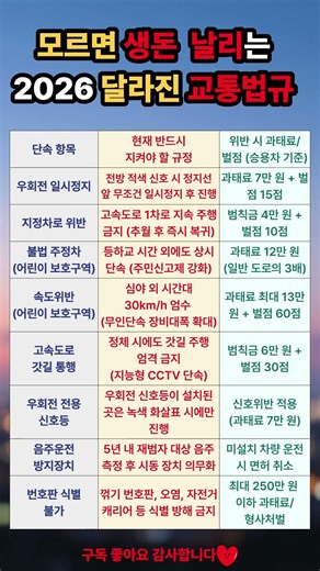 운전 경력 30년도 헷갈리는 '우회전'의 정석? 2026년식 완벽 정리 #생활정보 #팩트체크 #교통법규 #과태료