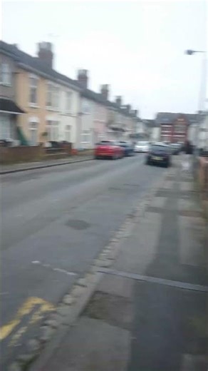 Cats in windows #animals #cat #nature #pets