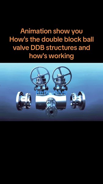 DDB Double Block Ball Valve Animation Explained