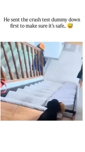 @hell_on_heels123 on Instagram: "-This post from hell_on_heels123 features a humorous 19-second video of a dachshund puppy sliding down a makeshift mattress-covered staircase slide, preceded by a stuffed bee toy as a 'crash test dummy' to ensure safety, garnering over 41,000 likes and 1.5 million views since 26 January 2026. The account, run by Sander from the Netherlands, specialises in uplifting content, with this clip exemplifying its style by blending pet antics with light-hearted caution, r