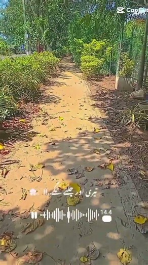 " Hanwella ganthota"After Cyclone Ditwah🥀🍂💔#shortvideo#cyclone#srilanka#trendingshorts#CycloneDitwah