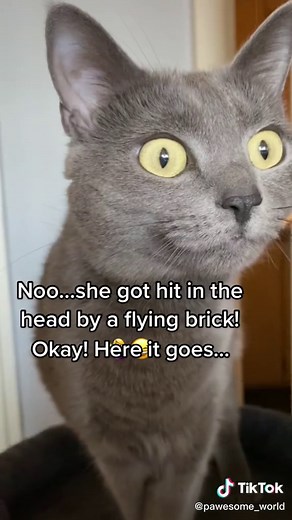 Funny Jokes: 500 Bricks on a Plane and More Hilarious Riddles