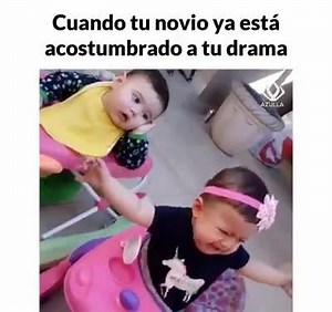 😂😂🤣🤣 ( Follow Hex Hectic For More ) | Hex Hectic