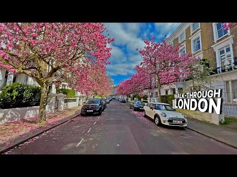 LONDON Walk 🇬🇧- Exploring West London's posh Westbourne neighbourhood 🌸 and Westbourne Grove 🍽🍱