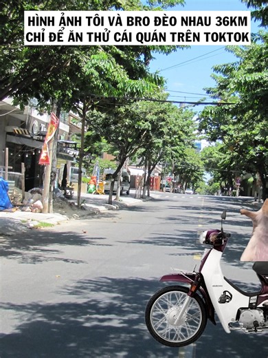 Meme hài hước về mèo không thể bỏ lỡ