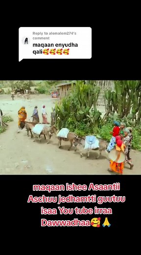 Oromoo TikTok Dance Challenge: Jwali Jwala City!