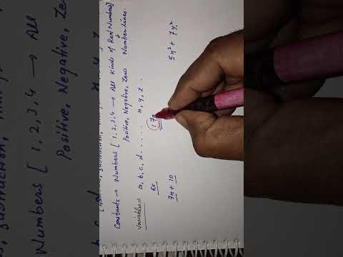 Algebraic Expressions Class 8 Maths Chapter 9 | Part 1 |
