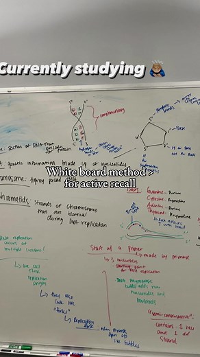 Effective Study Method: The White Board Method