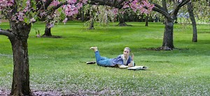 Summer at the Arboretum | Dallas Arboretum and Botanical Garden