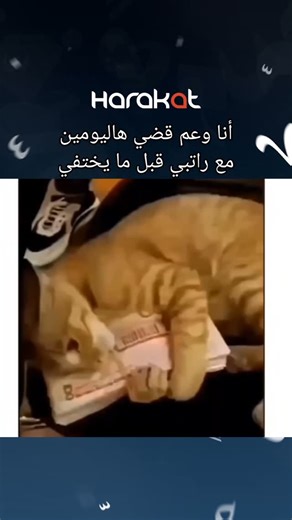 ‎Harakat Marketing - حركات للتسويق‎ on Instagram: "😭😭😭"