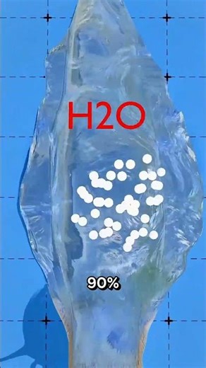 Why Do Snails Feel Pain When Sprinkled with Salt? #uniquefacts #funfacts