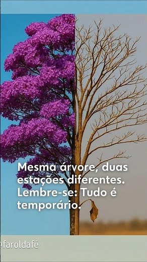 “Tudo tem o seu tempo determinado, e há tempo para todo o propósito debaixo do céu.”📖Eclesiastes 3:1