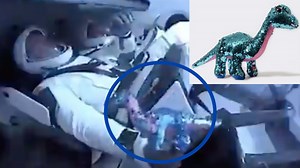 The real star of the SpaceX launch was a sparkly stuffed dinosaur